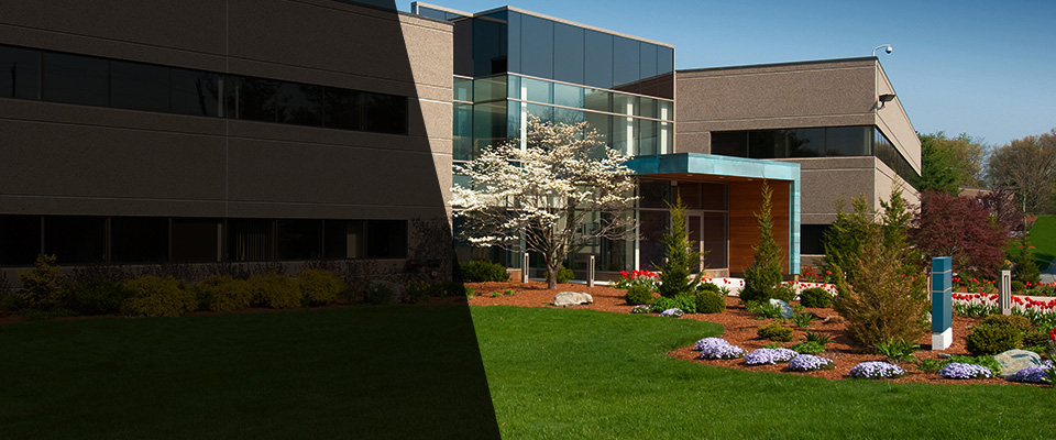 Glenmont Landscapers