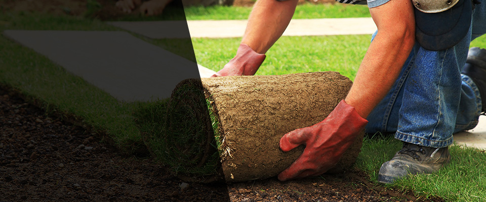 Glenmont Landscapers